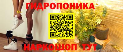 2c-b Новозыбков