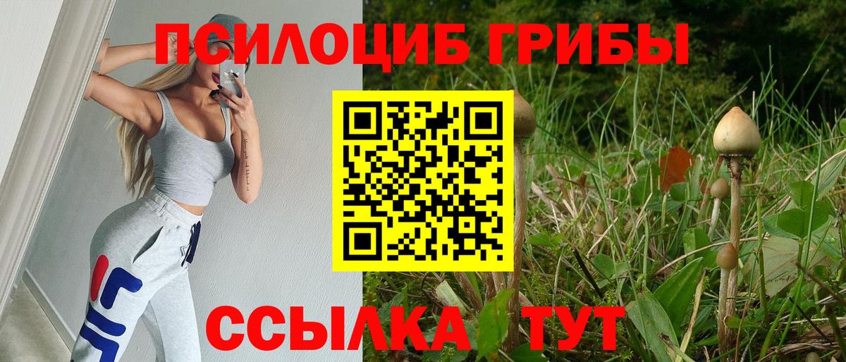 Тулун  Псилоцибиновые грибы GOLDEN TEACHER  Вход с VPN 